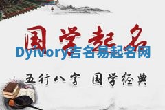 Dyivory吉名易起名网
