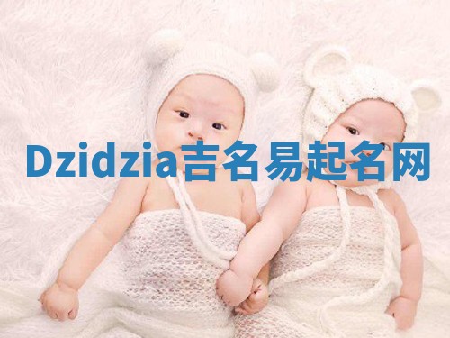 Dzidzia吉名易起名网