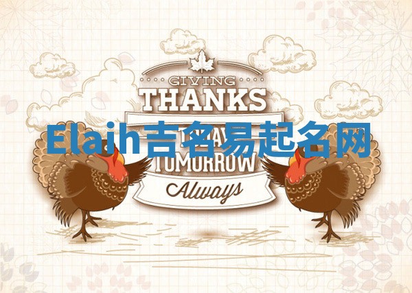 Elaih吉名易起名网
