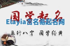 Elayia吉名易起名网