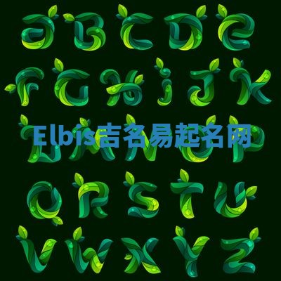 Elbis吉名易起名网