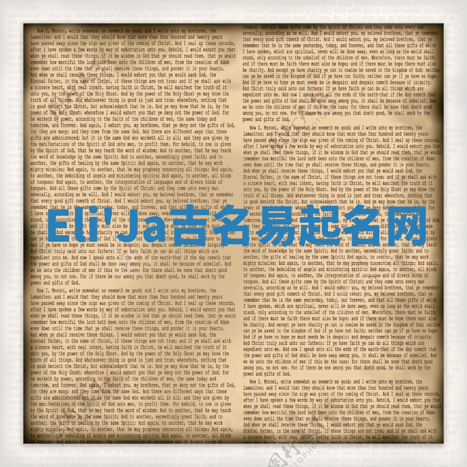 Eli'Ja吉名易起名网