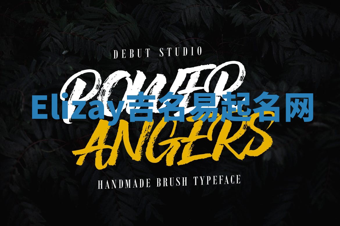 Elizay吉名易起名网