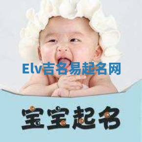 Elv吉名易起名网
