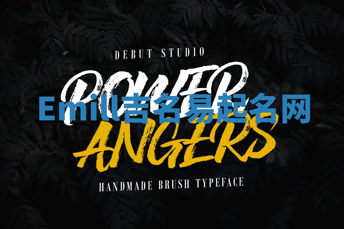 Emill吉名易起名网