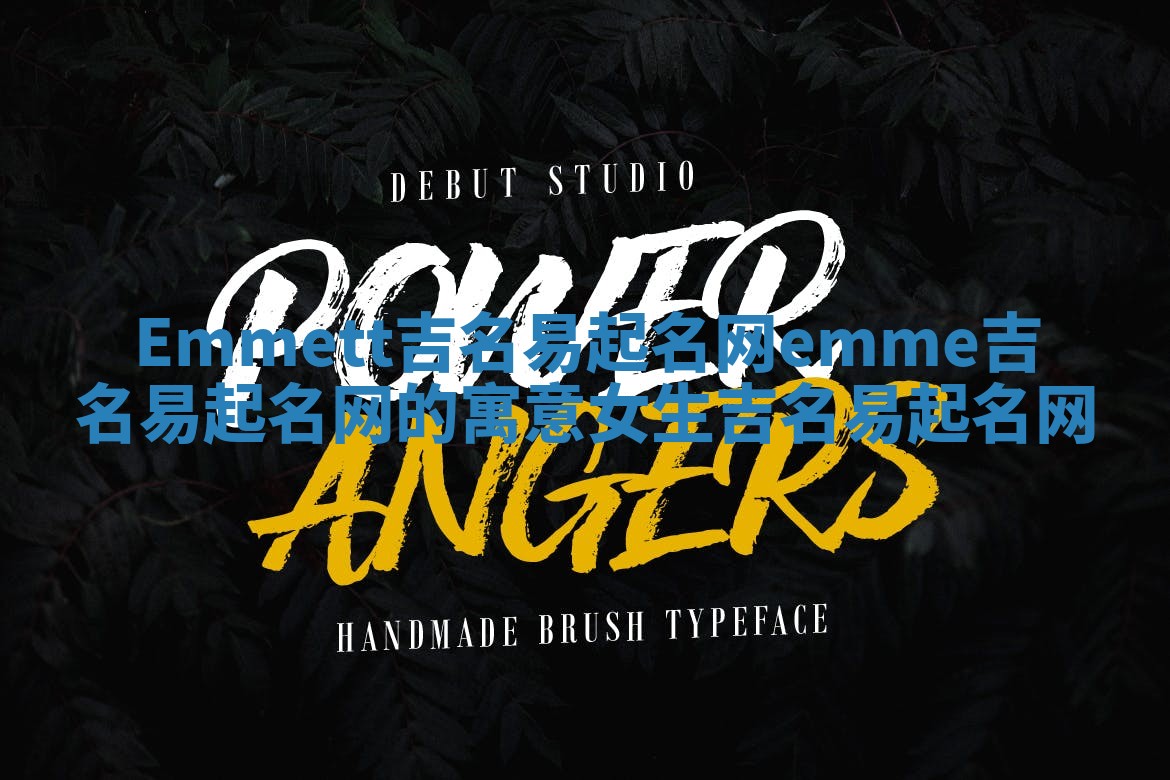 Emmett吉名易起名网 emme吉名易起名网的寓意女生吉名易起名网