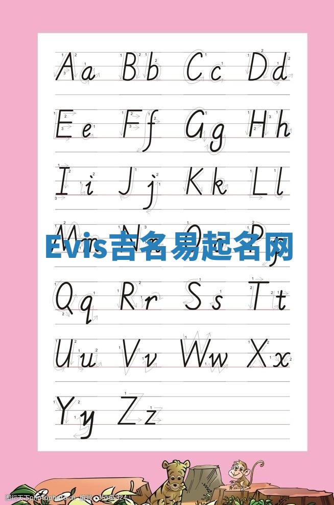 Evis吉名易起名网