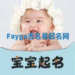 Fayga吉名易起名网