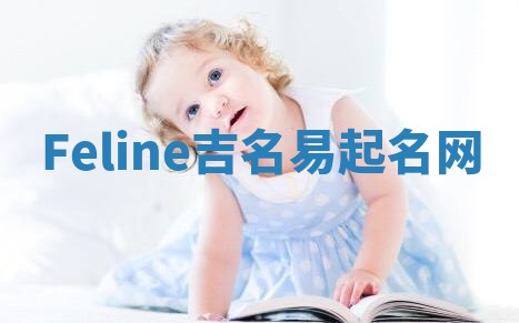 Feline吉名易起名网