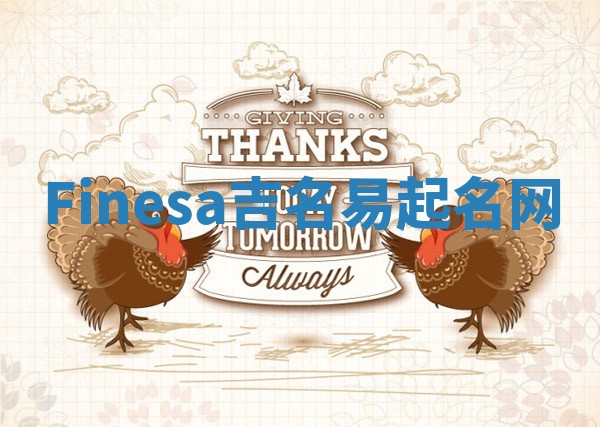 Finesa吉名易起名网
