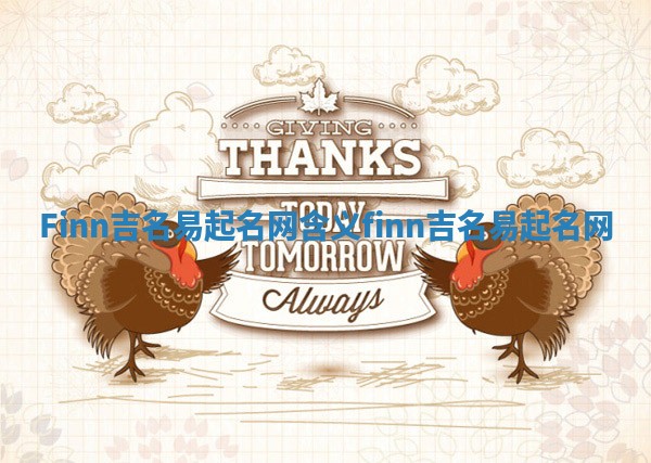 Finn吉名易起名网含义_finn 吉名易起名网