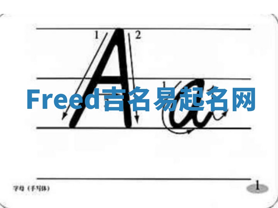 Freed吉名易起名网