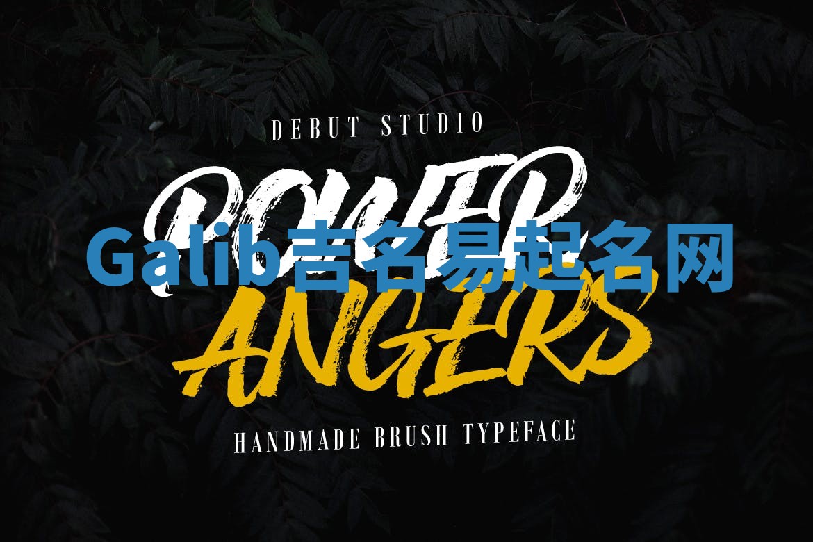 Galib吉名易起名网