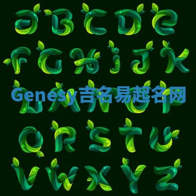 Genesy吉名易起名网