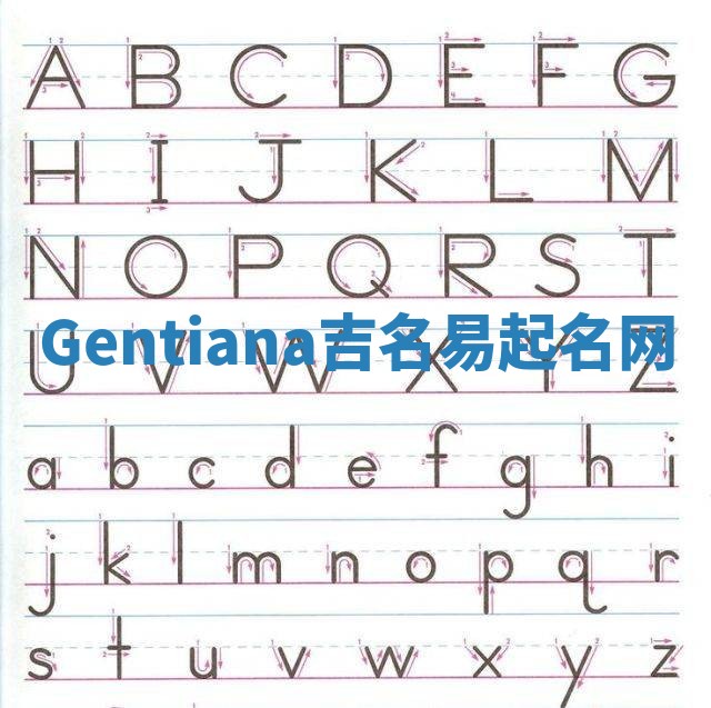 Gentiana吉名易起名网