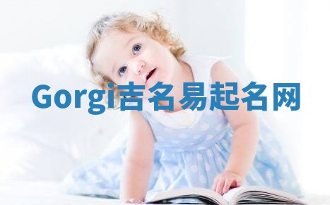 Gorgi吉名易起名网