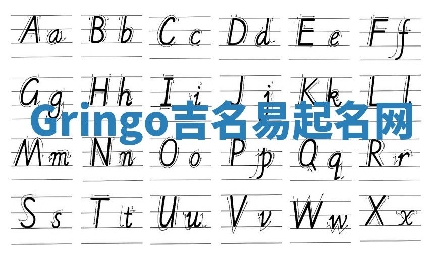 Gringo吉名易起名网