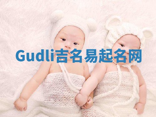Gudli吉名易起名网