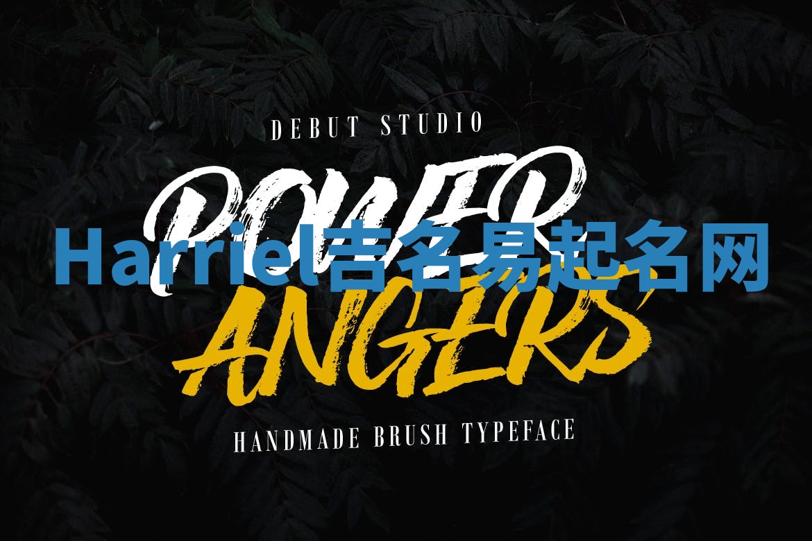 Harriel吉名易起名网