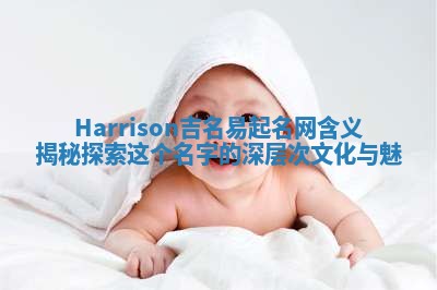 Harrison吉名易起名网含义揭秘 探索这个名字的深层次文化与魅