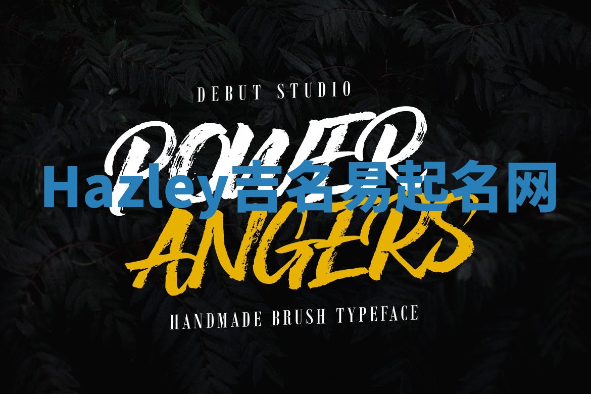Hazley吉名易起名网