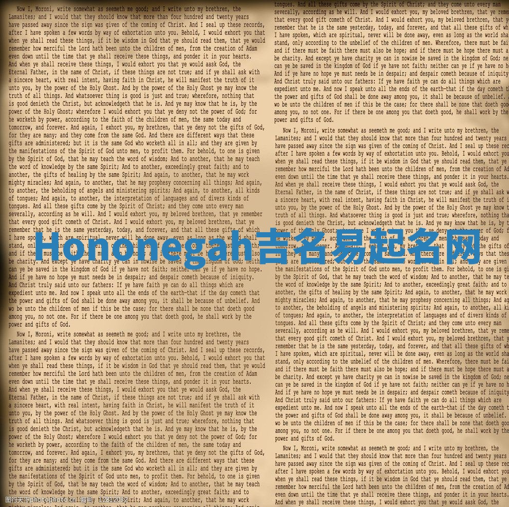 Hononegah吉名易起名网