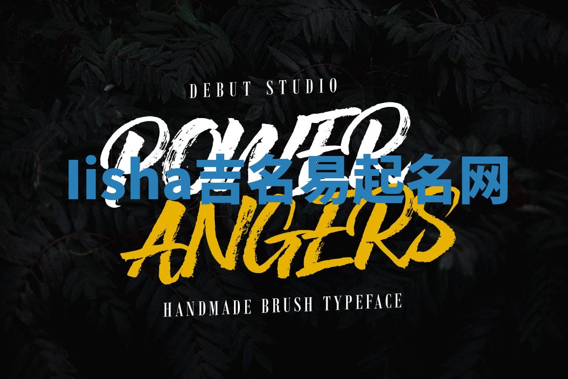 Iisha吉名易起名网