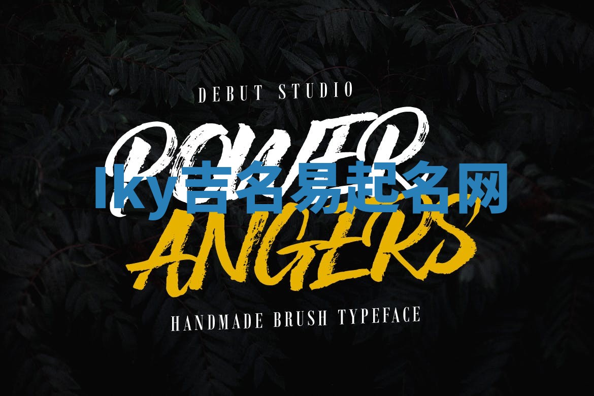 Iky吉名易起名网