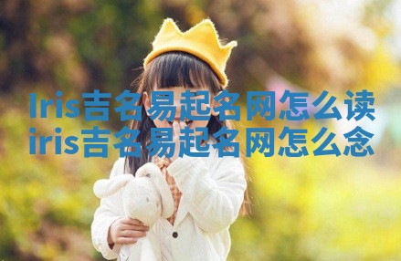 Iris吉名易起名网怎么读 iris吉名易起名网怎么念