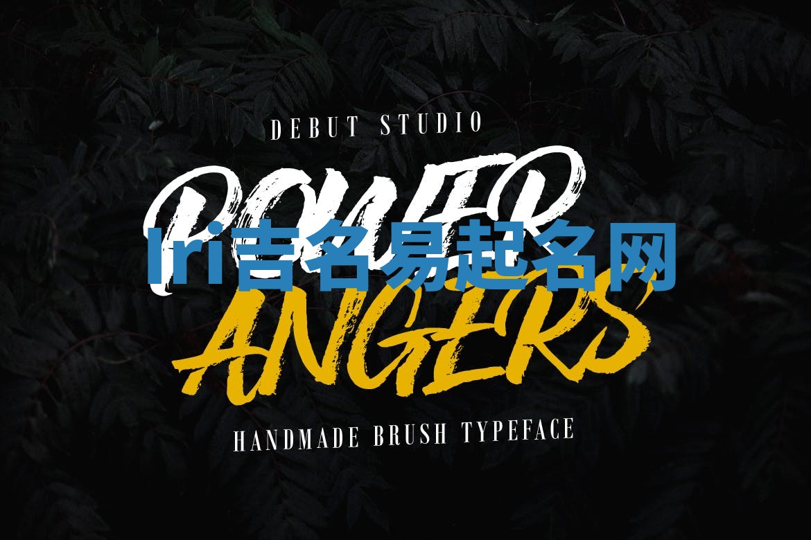 Iri吉名易起名网