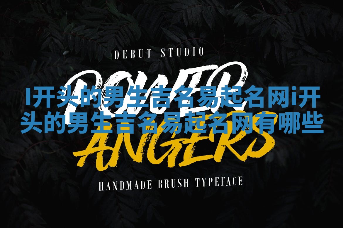 I开头的男生吉名易起名网 i开头的男生吉名易起名网有哪些