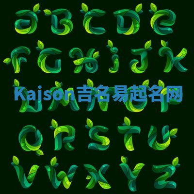Kaison吉名易起名网