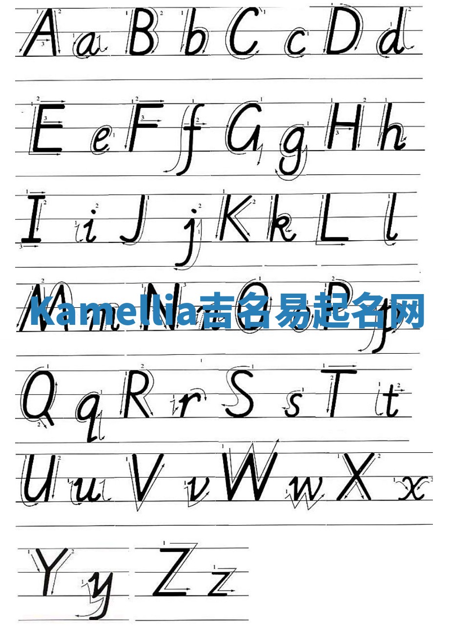 Kamellia吉名易起名网