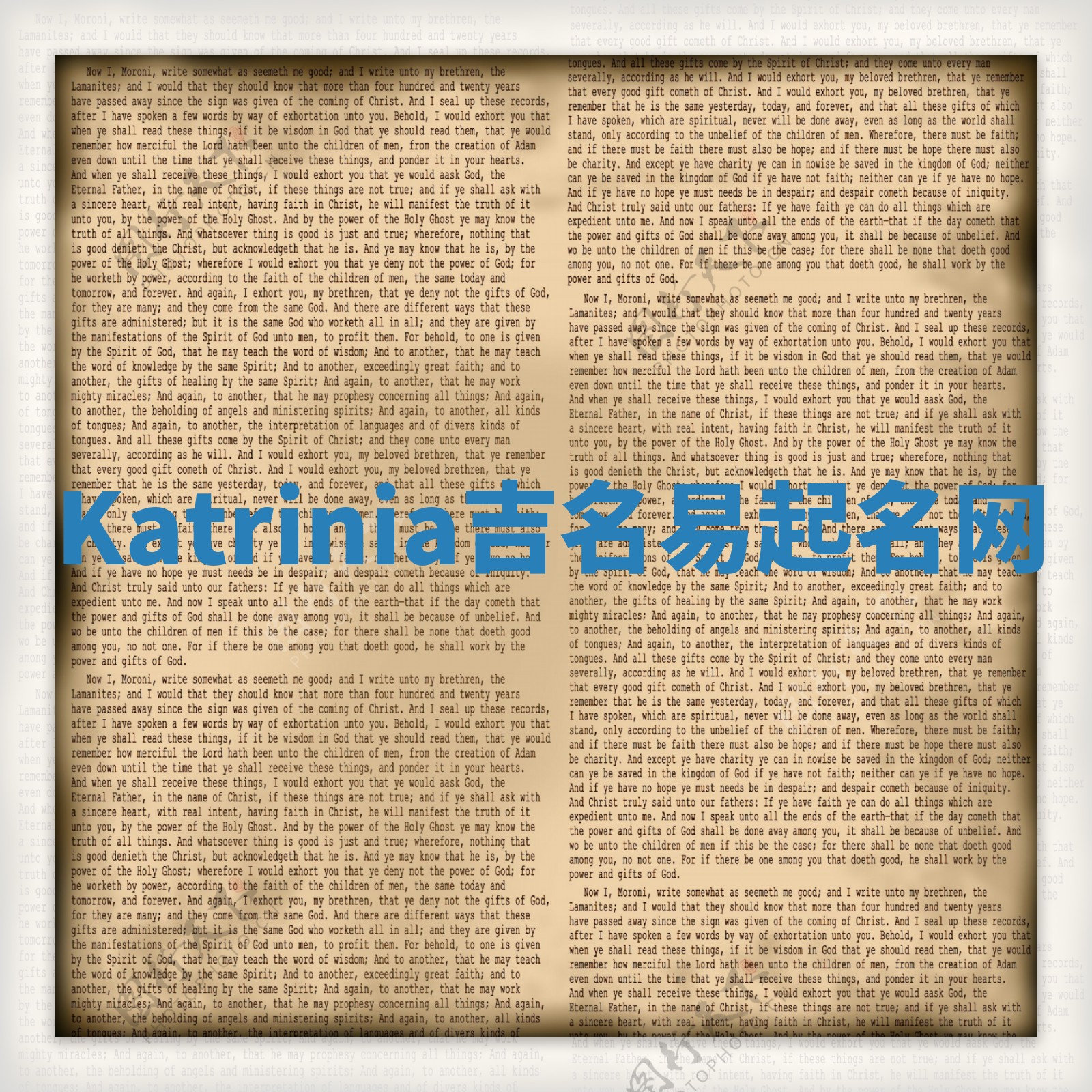 Katrinia吉名易起名网