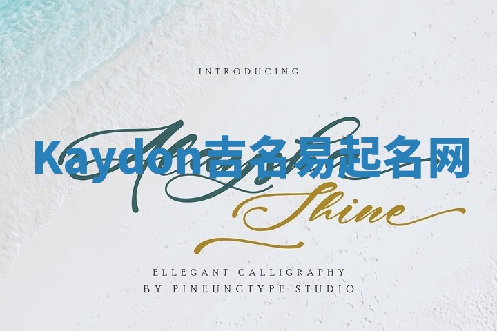 Kaydon吉名易起名网