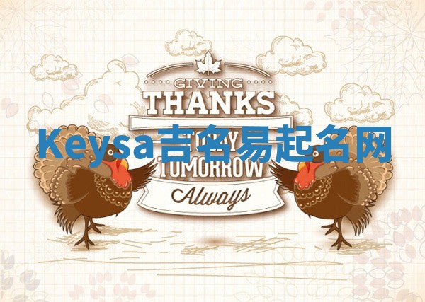 Keysa吉名易起名网