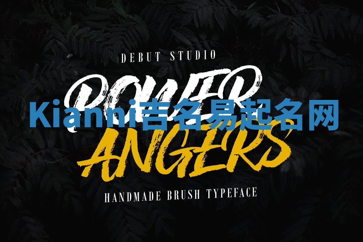 Kianni吉名易起名网