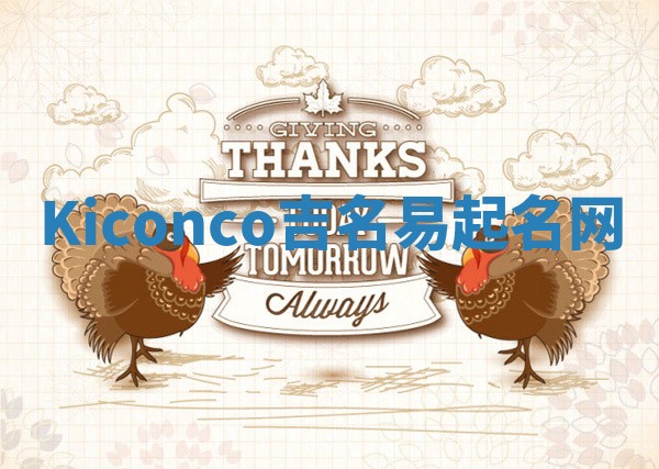 Kiconco吉名易起名网