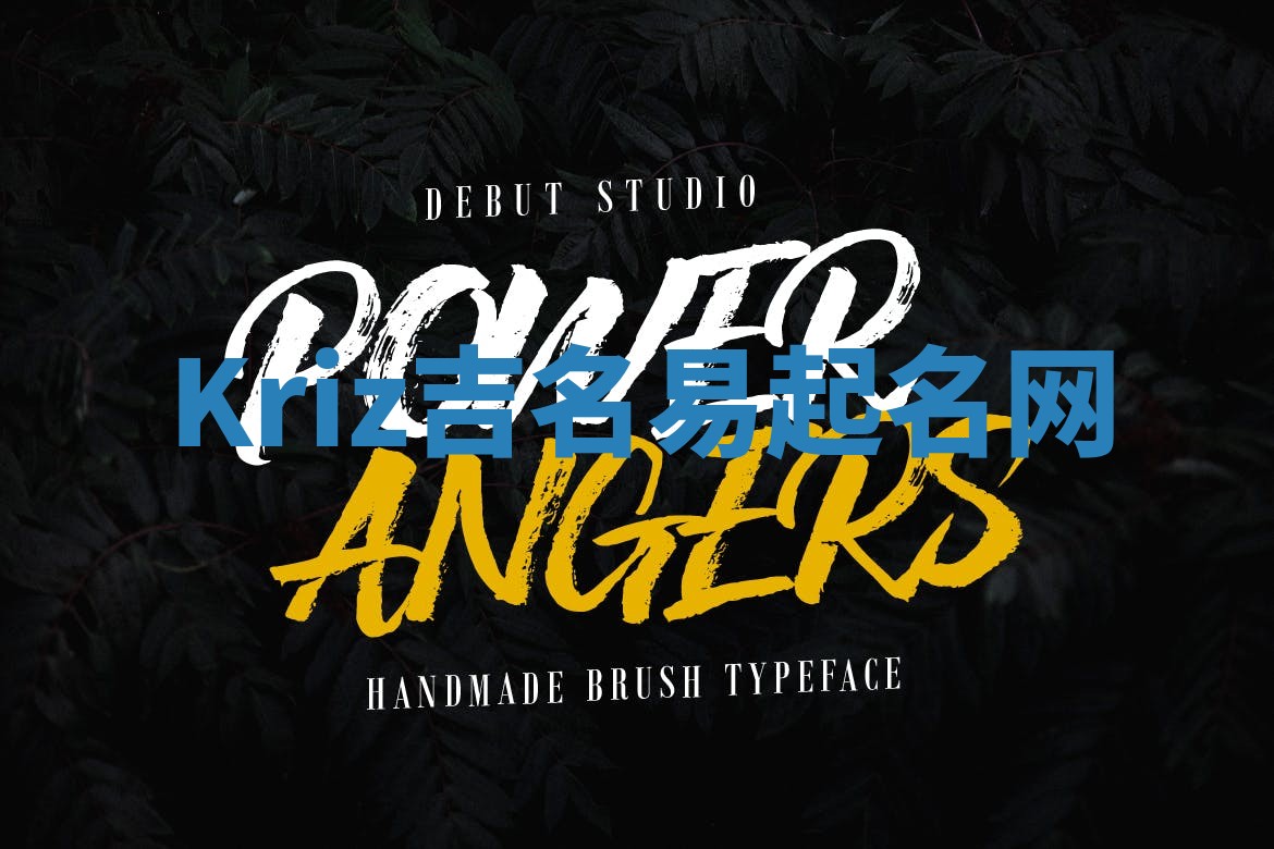 Kriz吉名易起名网