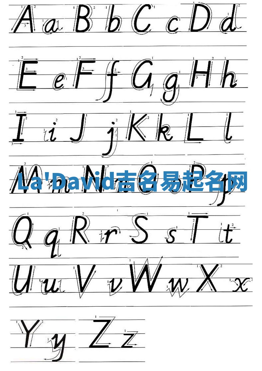 La'David吉名易起名网