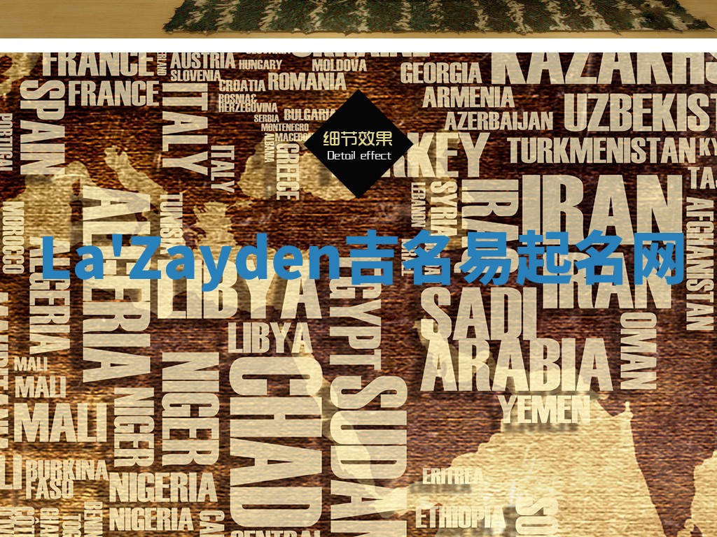 La'Zayden吉名易起名网