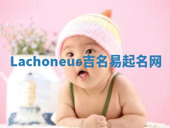 Lachoneus吉名易起名网