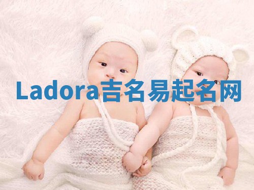 Ladora吉名易起名网 Ladora吉名易起名网