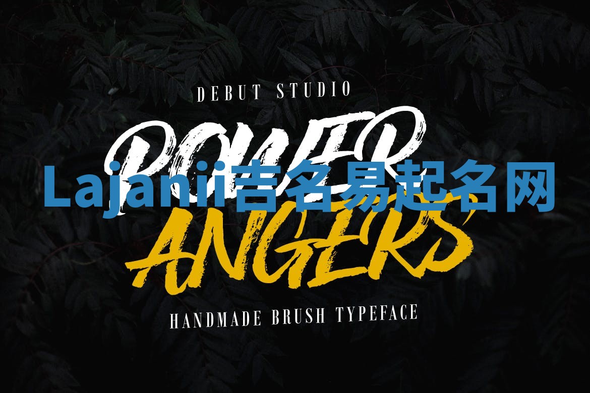 Lajanii吉名易起名网