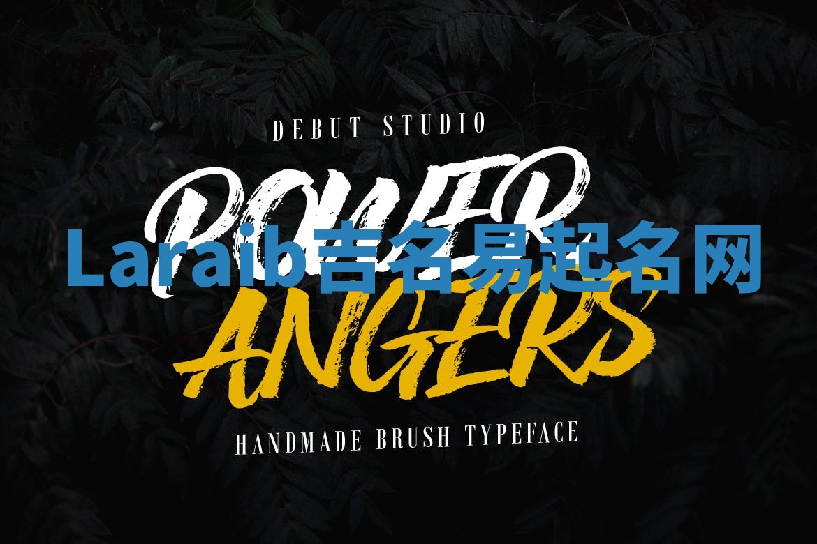 Laraib吉名易起名网