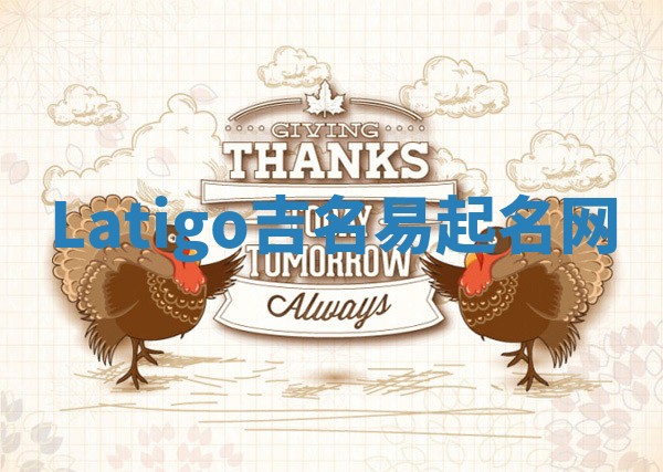 Latigo吉名易起名网