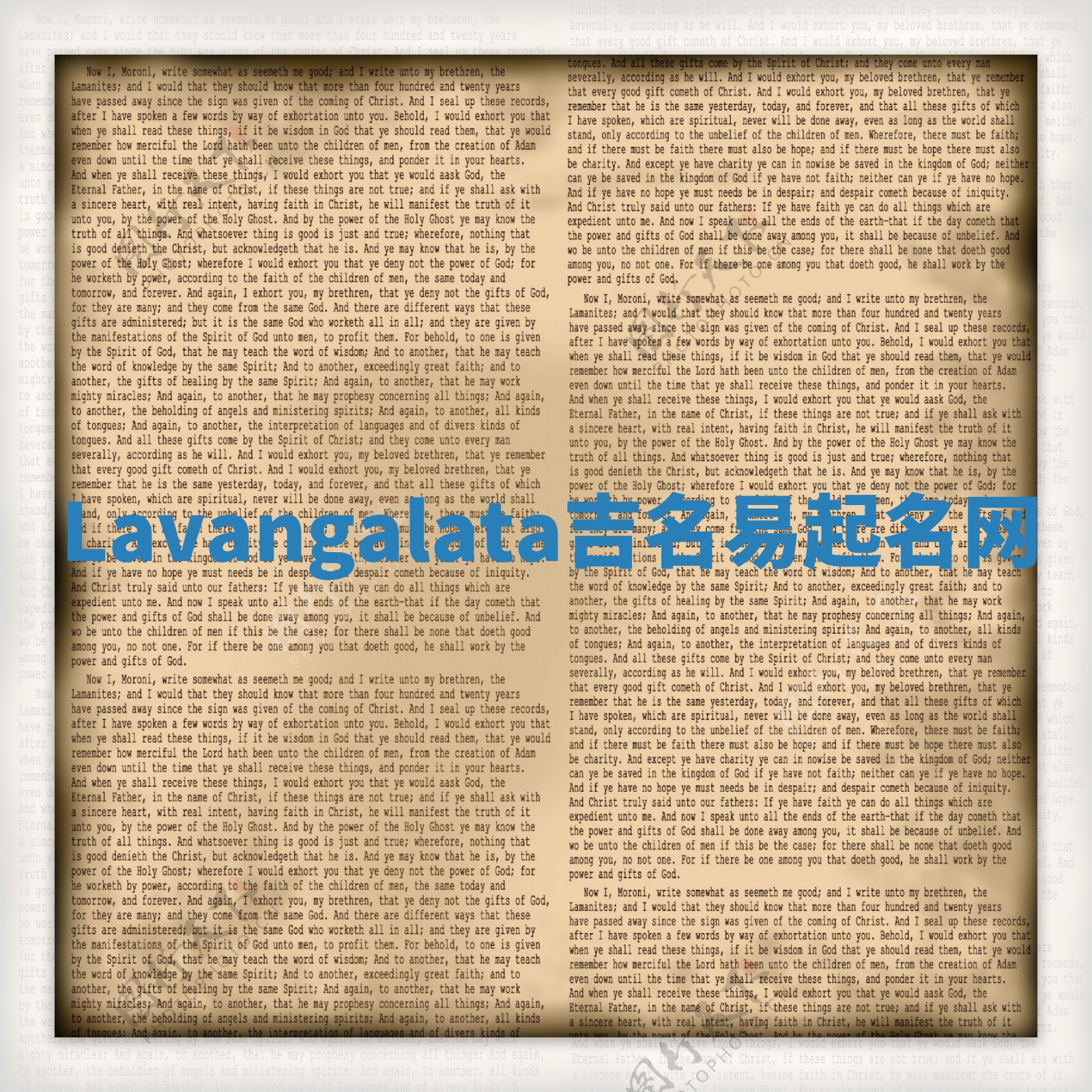 Lavangalata吉名易起名网