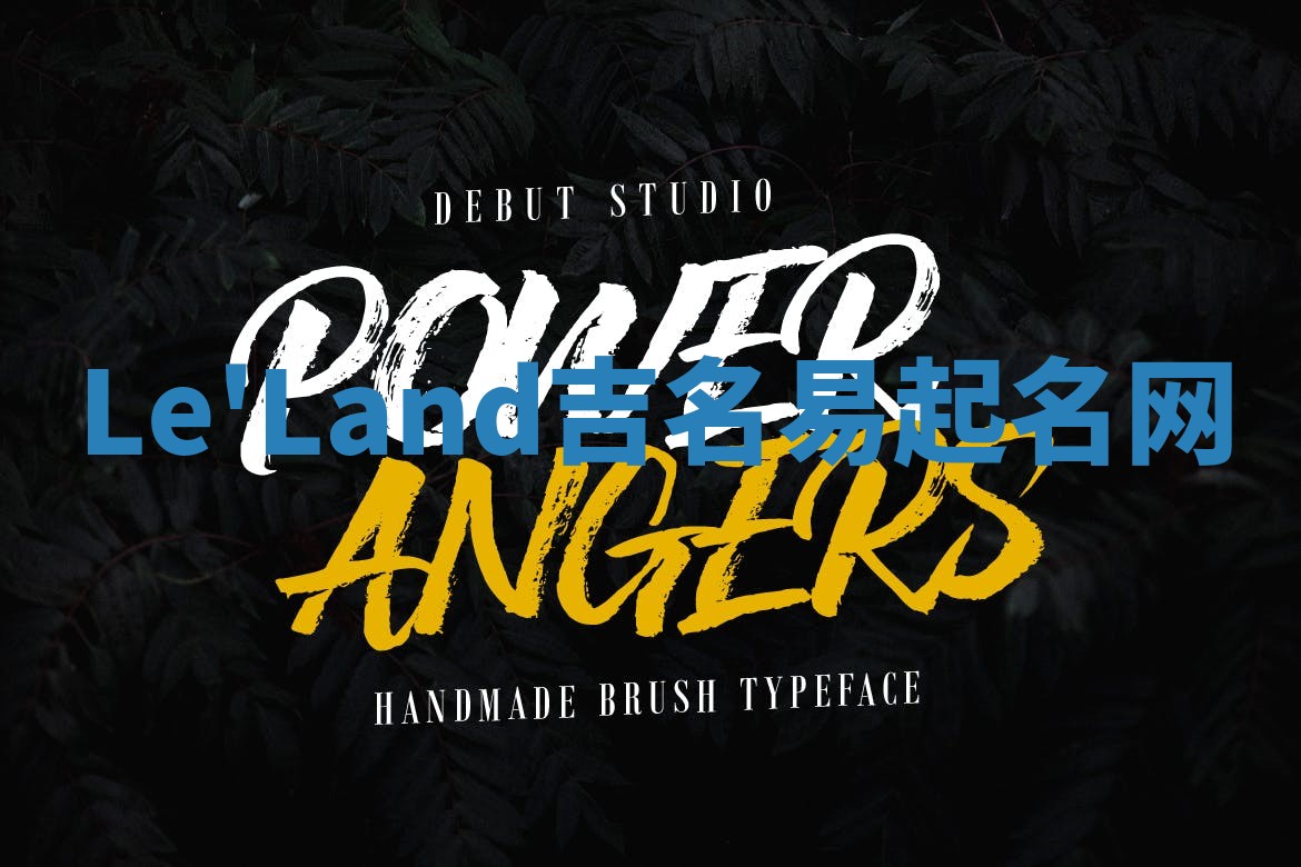 Le'Land吉名易起名网