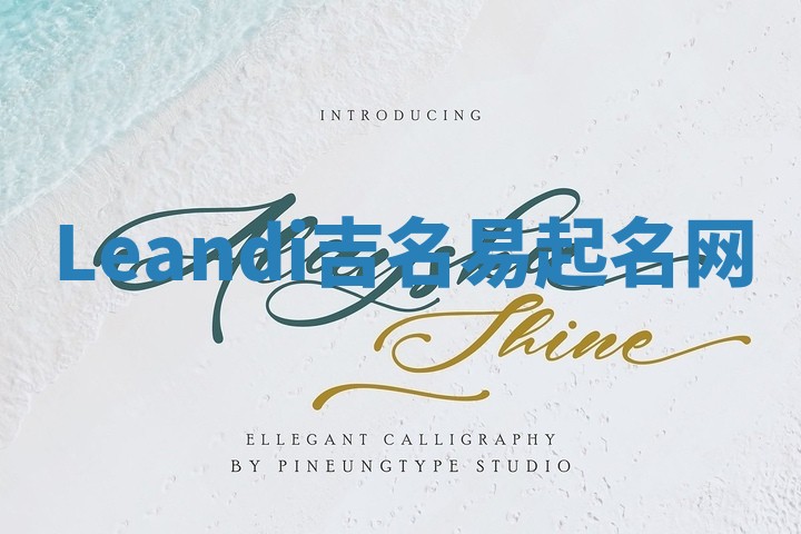 Leandi吉名易起名网