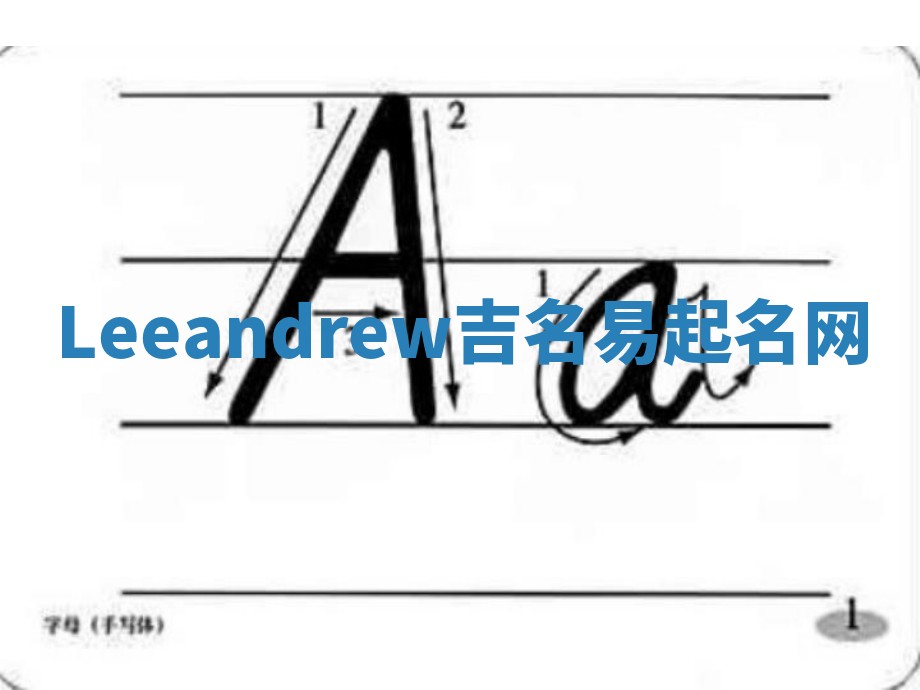 Leeandrew吉名易起名网
